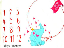 Load image into Gallery viewer, Mumbo Jumbo- Baby Milestone Blanket