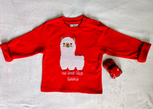 Load image into Gallery viewer, Fleeced Lined Winter Sweatshirt Combo - Roar the Dinosaur - Cool Dude - Bear With Me - Fluffy Lama