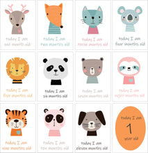 Load image into Gallery viewer, Cute Jungle Theme Milestone Cards- (Pack Of 24)